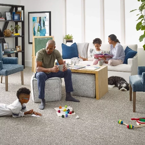 choosing-carpet Living Area Carpet | Kay Riley Flooring and Design